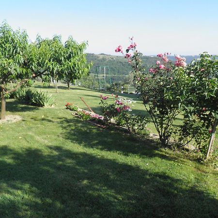 Apartments Cipresa Порторож Экстерьер фото